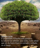 /album/fotogaleria/fruto-jpg/