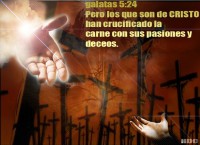 /album/fotogaleria/a529835-351926581537363-519206631-n-jpg/